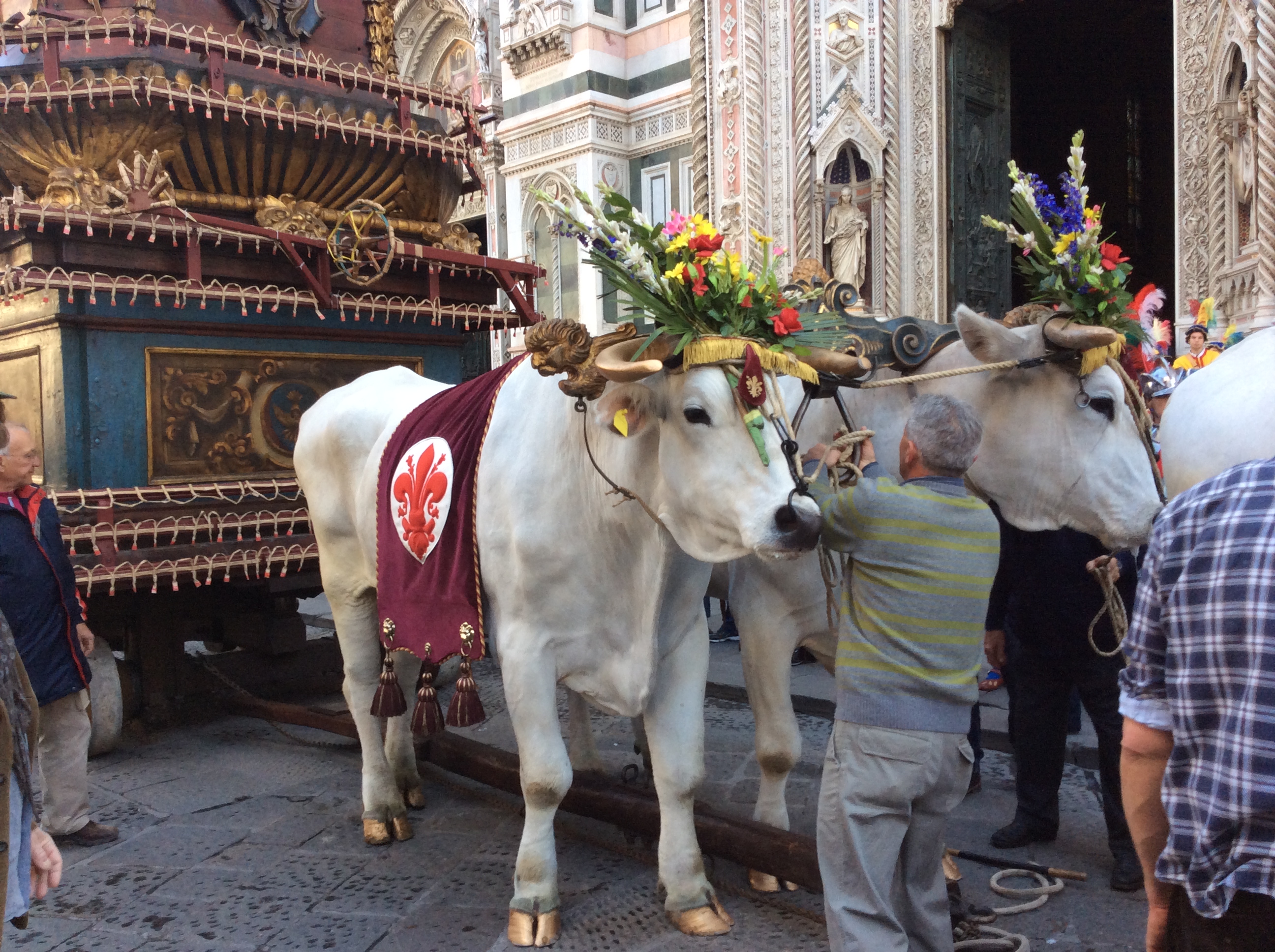 Scoppio del Carro 2014 – foto giornalista Franco Mariani (34)