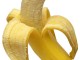 La banana: frutto energetico e nutritivo