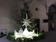 Fiori vittoriani per un Natale all’inglese in centro a Firenze