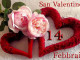 A San Valentino oltre 1.200 coppie festeggieranno le nozze d’oro a Palazzo Vecchio