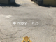 Pokémon GO: venerdì 29 luglio il primo raduno fiorentino alla Fattoria di Maiano