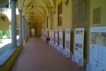 Mostra 50 alluvione di Firenze Promuove alle Oblate (8)