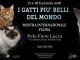 A Lucca mostra felina il 27 e 28 gennaio