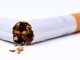 Tabacco: in 3 anni chiuse il 10% delle aziende toscane