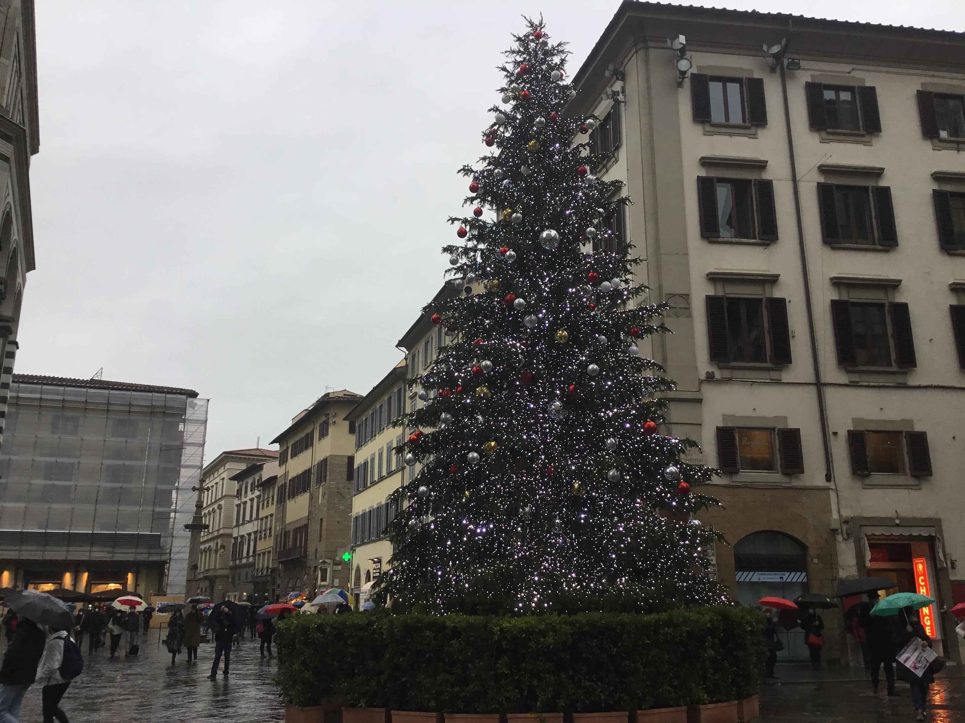Albero Natale Piazza duomo 2021 – Foto Giornalista Franco Mariani (1)