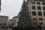 Albero Natale Piazza duomo 2021 - Foto Giornalista Franco Mariani (2)